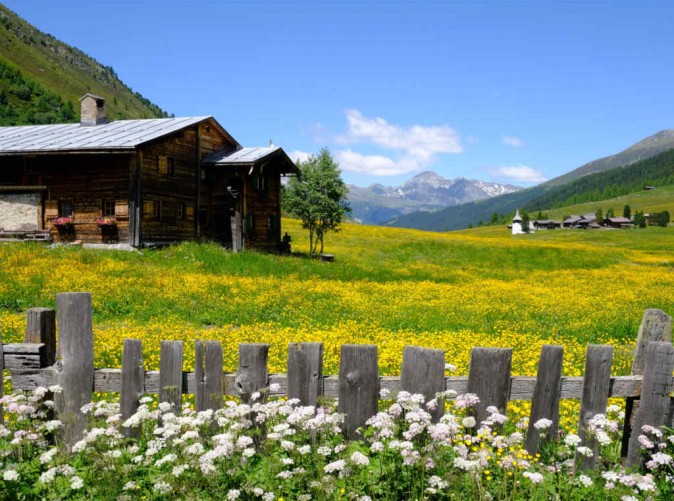 030_Schoene Aussichten Touristik-fruehlingswiese_sertigtal_sand